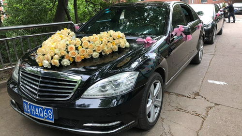 河南租車報價、廠家資源與二手車經銷市場概覽