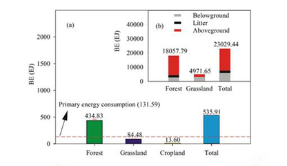 地理資源所揭示中國陸地生態(tài)系統(tǒng)生物能值時(shí)空動(dòng)態(tài)分布規(guī)律與生物質(zhì)能資源數(shù)據(jù)庫信息系統(tǒng)的構(gòu)建